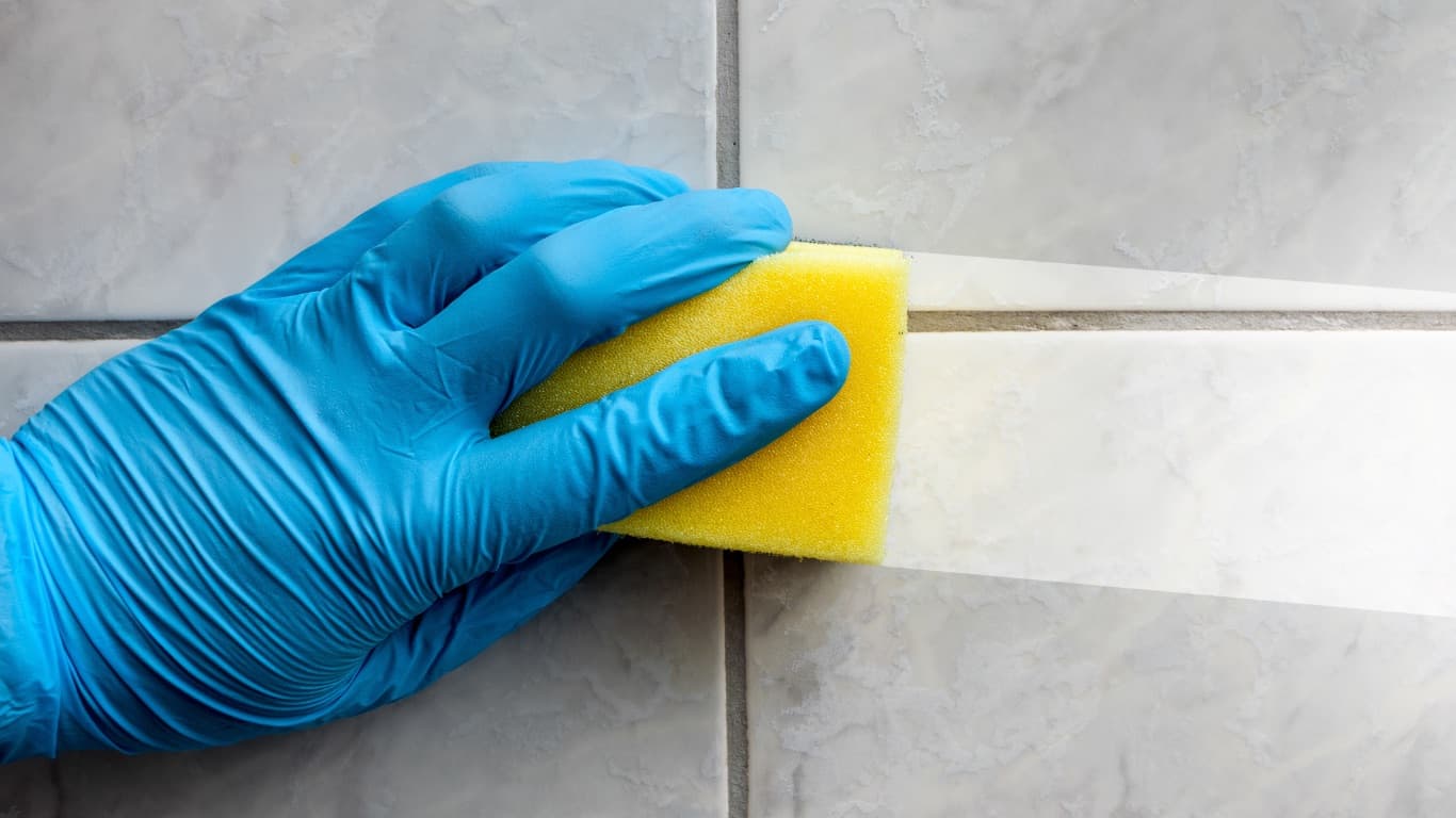 Deep Cleaning