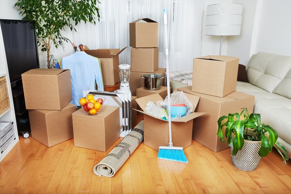 Move In/Out Cleaning